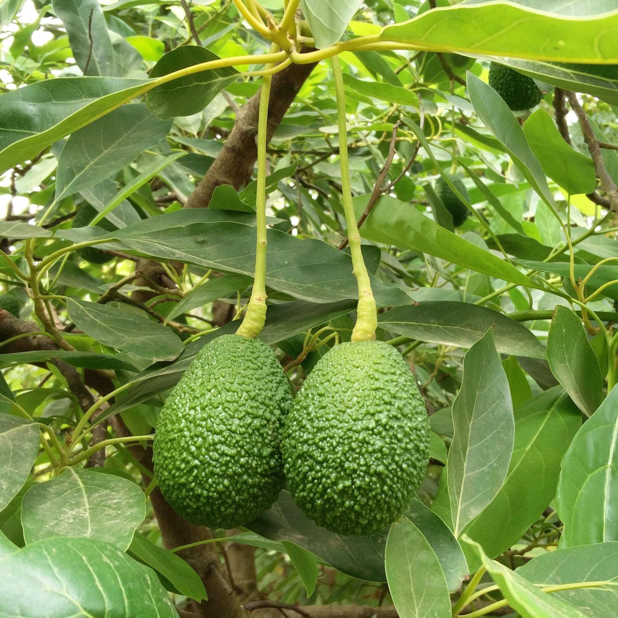 Produktbild 2